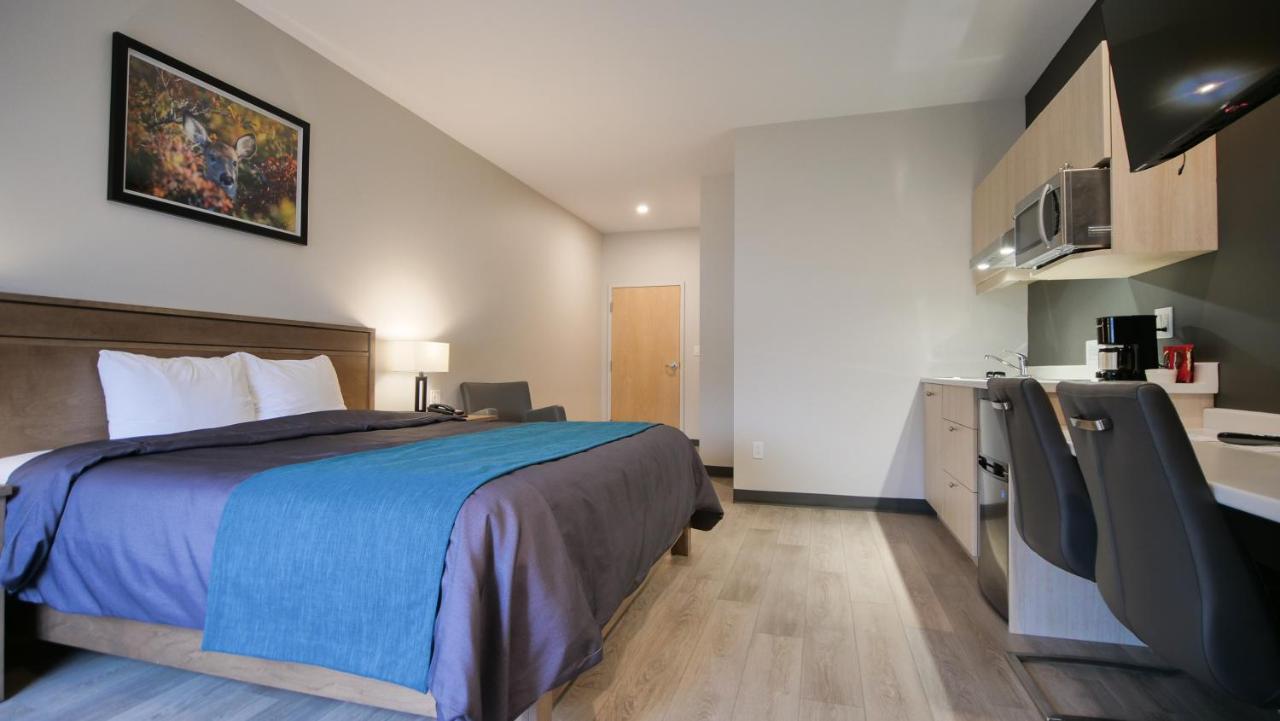 Motel L'Abri Carleton-sur-Mer Экстерьер фото